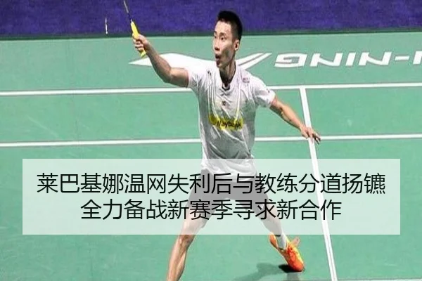 lai-ba-ji-na-wen-wang-shi-li-hou-yu-jiao-lian-fen-dao-yang-biao-quan-li-bei-zhan-xin-sai-ji-xun-qiu-xin-he-zuo-3-250.jpg