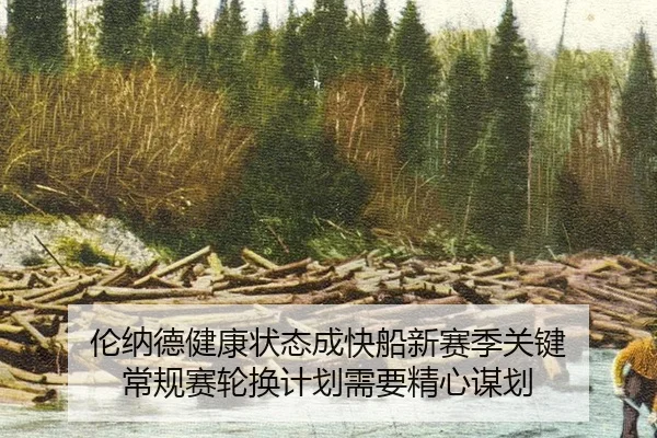 lun-na-de-jian-kang-zhuang-tai-cheng-kuai-chuan-xin-sai-ji-guan-jian-chang-gui-sai-lun-huan-ji-hua-xu-yao-jing-xin-mou-2-230.jpg