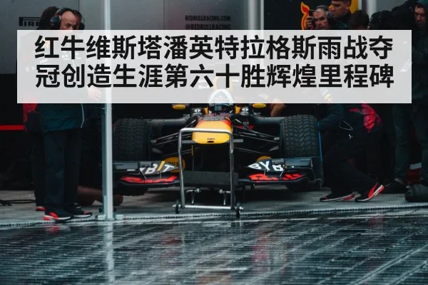 Max Verstappen Red Bull